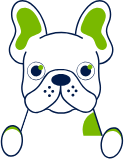dpetcare llc